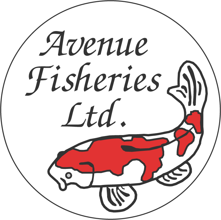 (c) Avenuefisheries.com